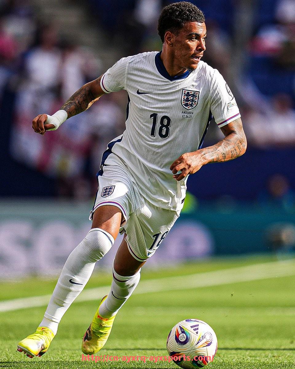 爱游戏体育-上海地区网上购买健身器材的正规渠道推荐