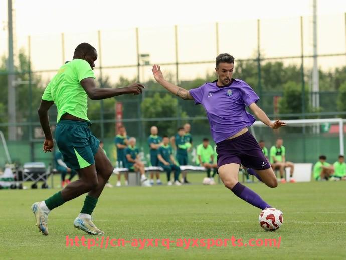 爱游戏体育-有哪些球员穿过多支英超球队球衣？