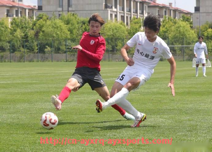 爱游戏体育-西甲和其他联赛水平：西甲联赛与其他主要足球联赛的竞技水平对比