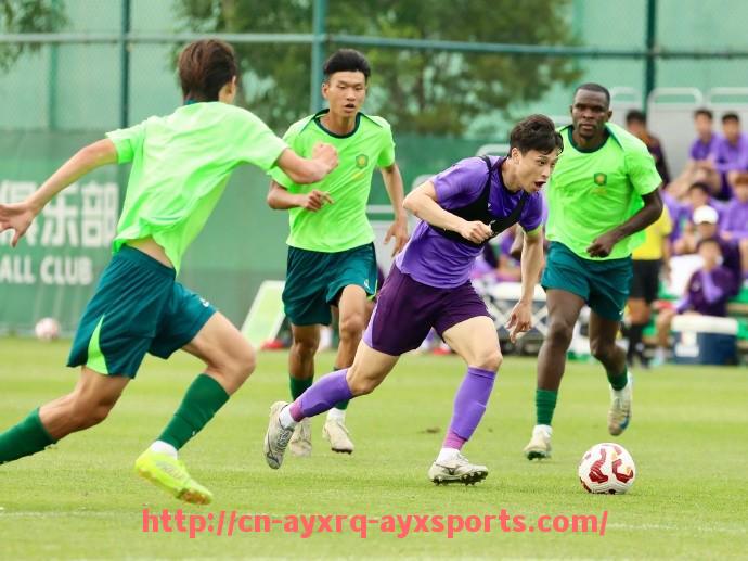 爱游戏体育-2020年火箭队全家福合照及球队阵容变化回顾