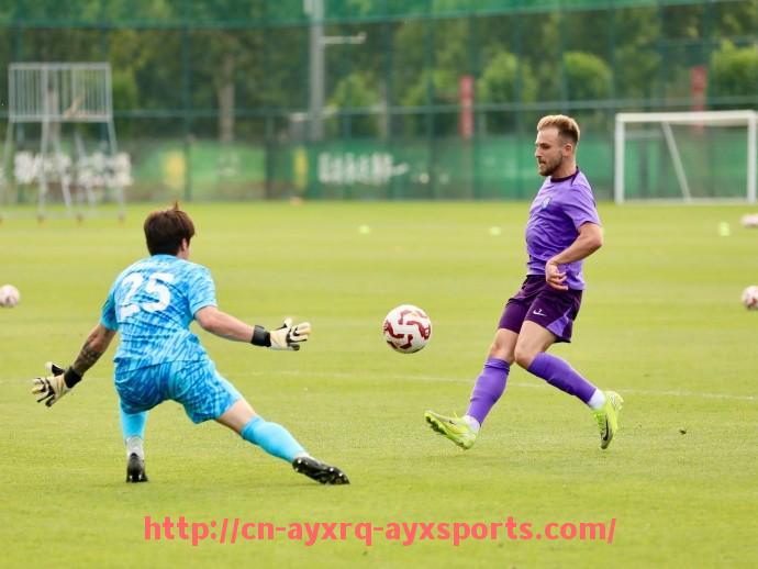 爱游戏体育-摩纳哥求购德甲球队鞋子事件及背后故事